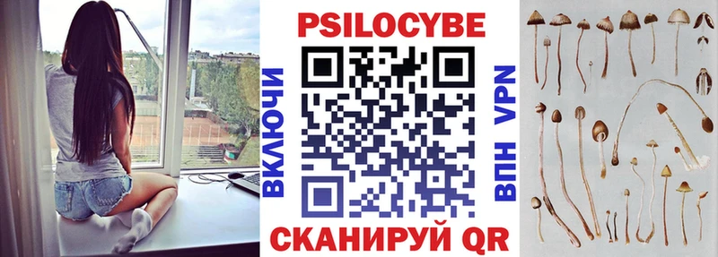 Псилоцибиновые грибы Cubensis Александров